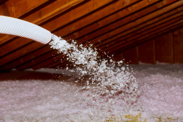 Attic Insulation Near Me in Monrovia, MD