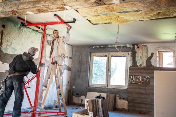 Best Spray Foam Insulation  in Monrovia, MD