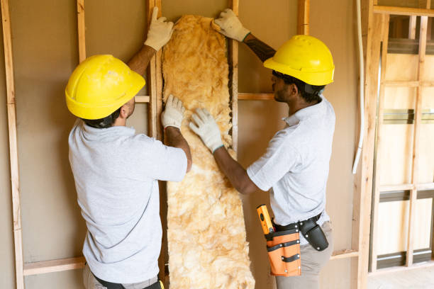 Best Insulation Removal  in Monrovia, MD