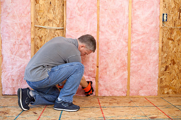 Best Insulation Contractors for Homes  in Monrovia, MD