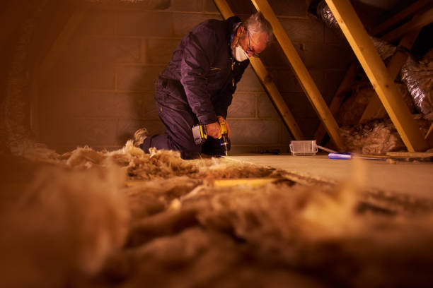 Best Attic Insulation Near Me  in Monrovia, MD