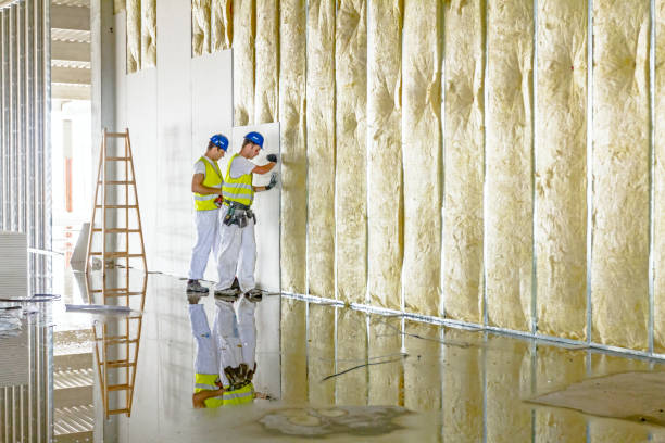 Best Cellulose Insulation  in Monrovia, MD